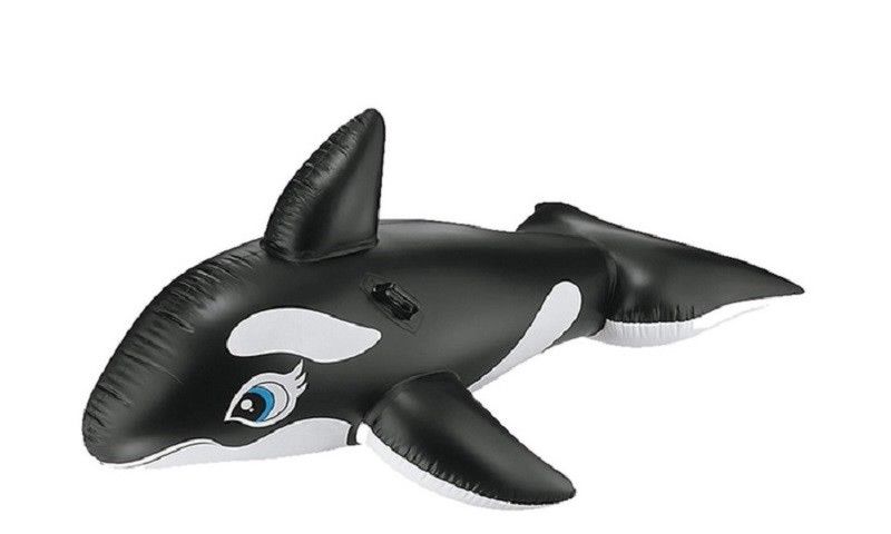 Inflatable Ride On Novelty Swimming Pool Beach Toy Float Rider Lilo Swim